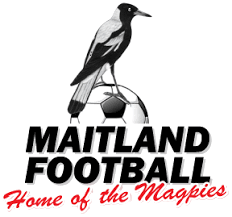 Logo Maitland FC Women