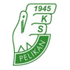 Logo Pelikan Lowicz